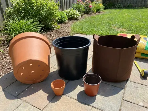 Various large containers showing 15-20 gallon pots suitable for luffa with drainage holes